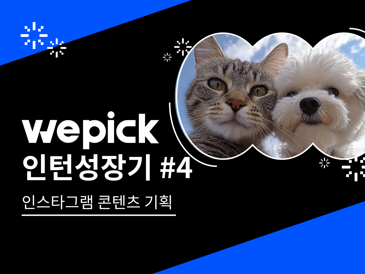 위픽 마케팅인턴 성장기5