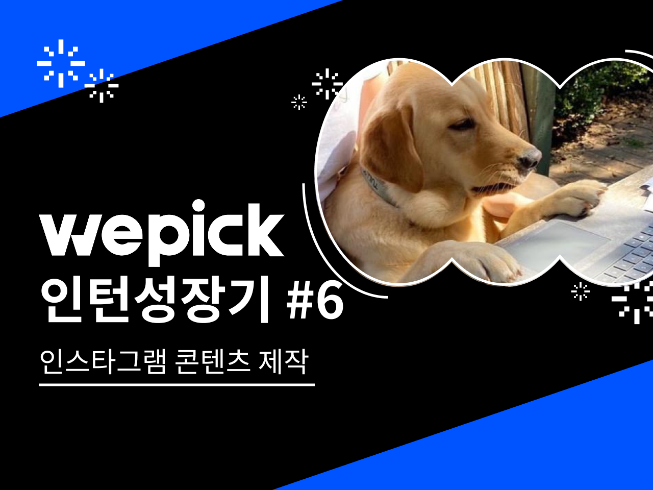 위픽 인턴 성장기 6