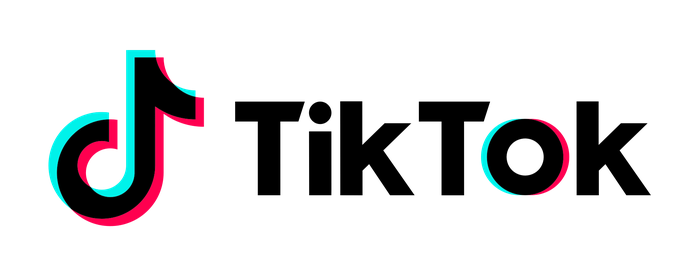 TikTok 뉴스레터 광고 집행 사례